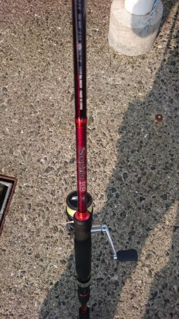 アジング&タコ情報