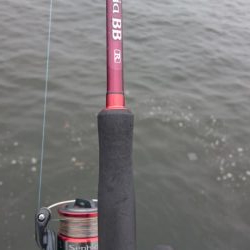 台風前にサゴシ&アジ