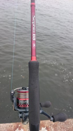 台風前にサゴシ&アジ