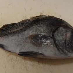 台風の来る前に