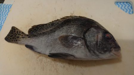 台風の来る前に