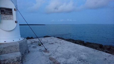 ロウニンアジ、自作のポッパーで釣れました。