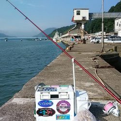 津居山漁港でキス狙い