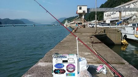 津居山漁港でキス狙い