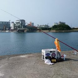 志筑川護岸でキス狙い