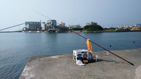 志筑川護岸でキス狙い