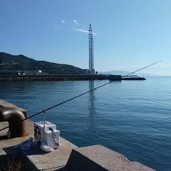 浦港でキス狙い