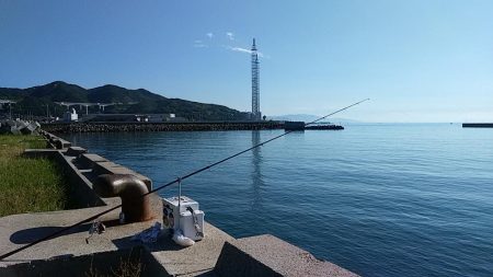 浦港でキス狙い