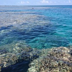 リーフエンドからルアーフィッシング