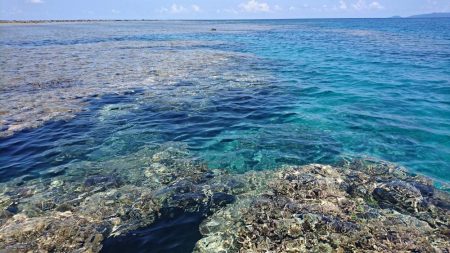 リーフエンドからルアーフィッシング