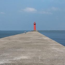 播磨新島へキス釣査