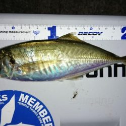 ボートアジング