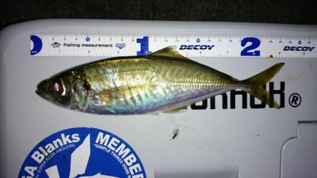 ボートアジング