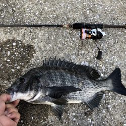 ライトタックル落とし込み