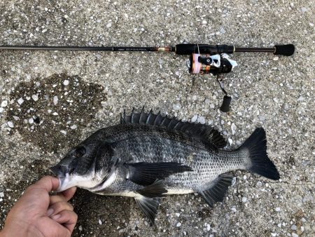 ライトタックル落とし込み