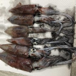 タカキ式エギング釣法！？