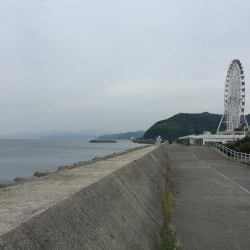 シオ カンパチ幼魚