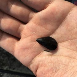 テトラで落とし込み