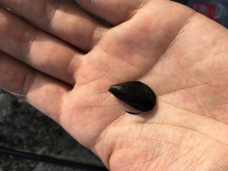 テトラで落とし込み