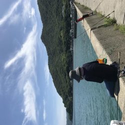 キス釣りのはずが、、、