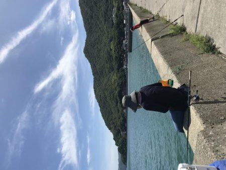 キス釣りのはずが、、、