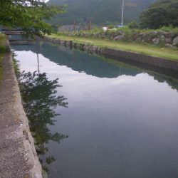 オオモンハタ遠征