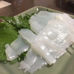 新鮮なイカが食べたい!!