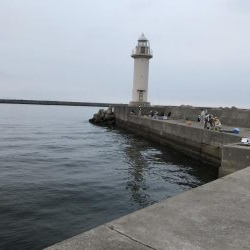 夏のビッグファイト