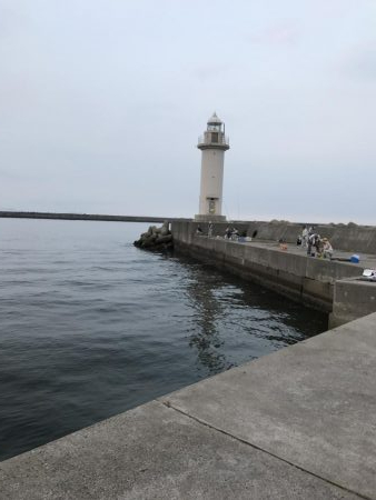 夏のビッグファイト