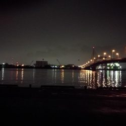 雨天後の南港カモメ大橋釣行 (ギリギリのチヌ釣果小キビレ、ガシラ釣果