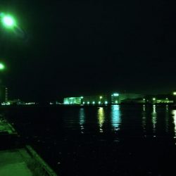 梅雨の南港フェリーヘチ釣り （なんとか小キビレ＆小ガシラ釣果のみ）