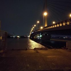 大雨後の南港カモメ大橋釣行 (真チヌ釣果48cm、小メジナ、小キビレ、ガシラ釣果)