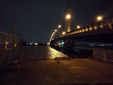 大雨後の南港カモメ大橋釣行 (真チヌ釣果48cm、小メジナ、小キビレ、ガシラ釣果)