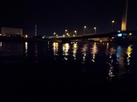 南港カモメ大橋釣行 （小キビレ、小メジナ、ガシラ釣果）