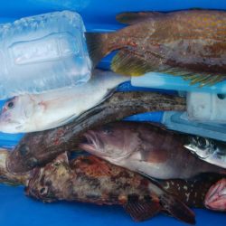 第二美丸　五目釣り