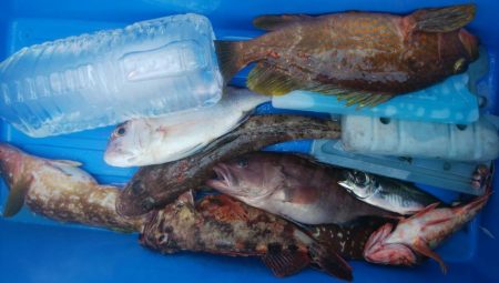 第二美丸　五目釣り