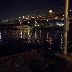 南港フェリーヘチ釣り (小キビレ、小シーバス釣果のみ)