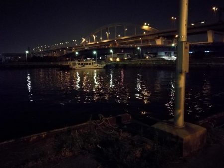 南港フェリーヘチ釣り (小キビレ、小シーバス釣果のみ)