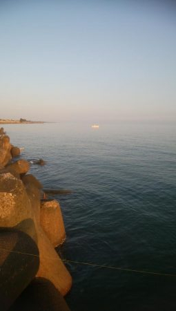 キスが釣れましたー