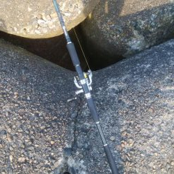 キスの他にアイナメが釣れましたー