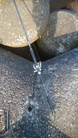 キスの他にアイナメが釣れましたー