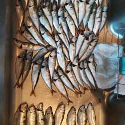 コスモスクエアにて