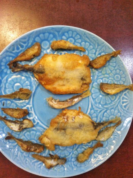 南港魚つり園でタコジグとサビキ