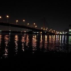 南港カモメ大橋ヘチング釣行 (キビレ33cmと小キビレ釣果のみっす(笑))