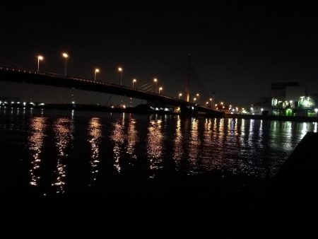 南港カモメ大橋ヘチング釣行 (キビレ33cmと小キビレ釣果のみっす(笑))