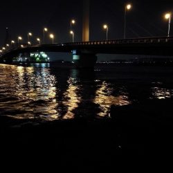 南港カモメ大橋釣行 (真チヌ48cm再び。。その他釣果有り(笑)