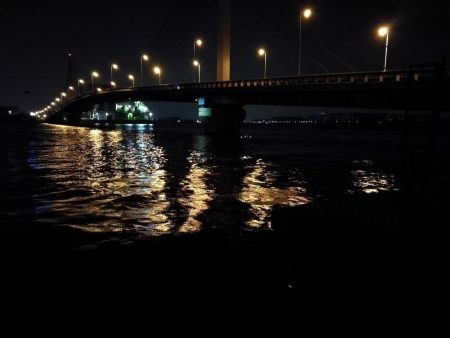 南港カモメ大橋釣行 (真チヌ48cm再び。。その他釣果有り(笑)