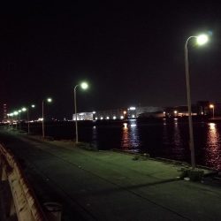 南港フェリーヘチ釣り (ミニ真チヌ、小キビレ他釣果)