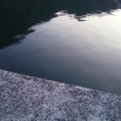 ヘチ釣りでハタ！ハタ！ハタ！