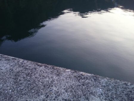 ヘチ釣りでハタ！ハタ！ハタ！